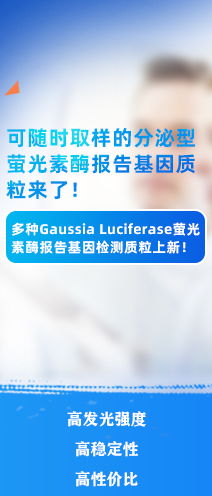 CDK6 兔單克隆抗體技術服務全解析