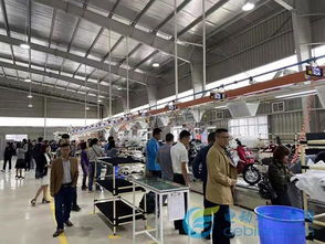 雅迪成立電動(dòng)車行業(yè)首家獨(dú)資海外工廠 技術(shù)服務(wù)雙輪驅(qū)動(dòng)，中國(guó)制造走向世界